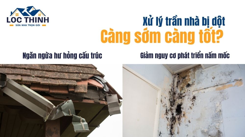 vi sao nen xu ly tran nha di dot cang som cang tot