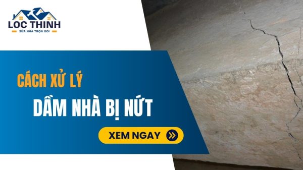 dam nha bi nut