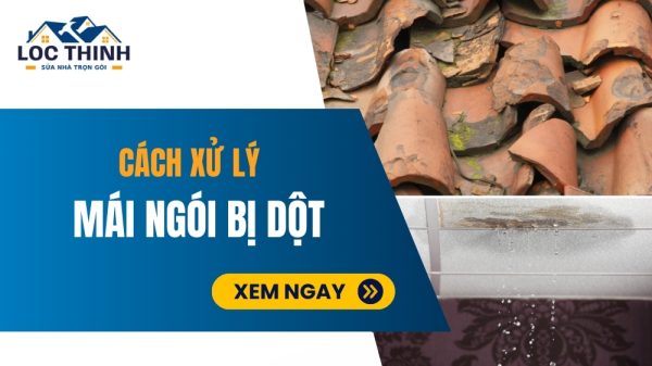 mai ngoi bi dot