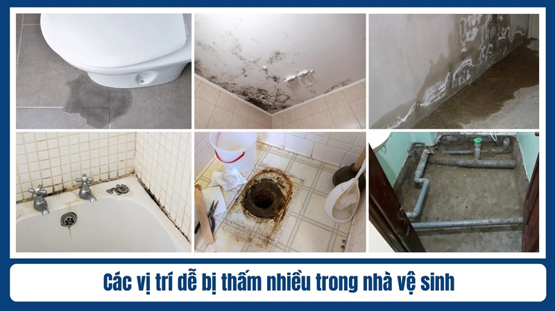 Các vị trí dễ bị thấm nhiều trong nhà vệ sinh